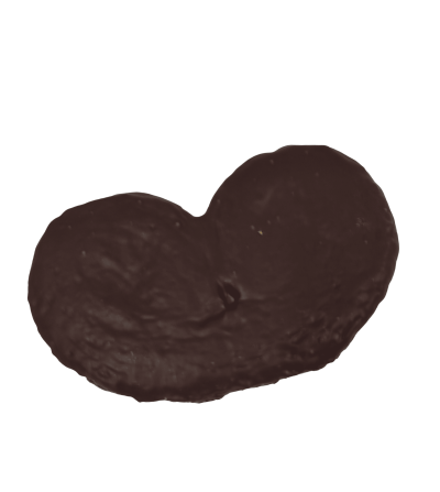 Palmeras de chocolate negro